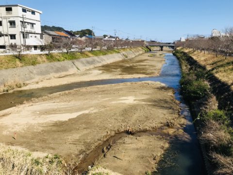 井戸川堆積土砂撤去工事
